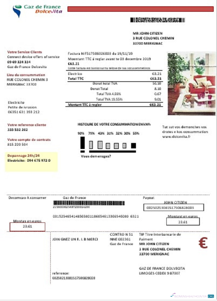 download download France Gaz de France Dolcevita utility bill